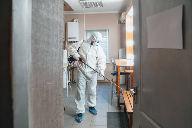 Best Mold Prevention Services  in Pine Island, MN